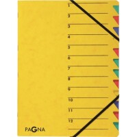 Pagna 24131-05 Ordnungsmappe A4 Easy Eckspanner 12teilig...