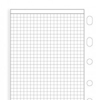 Filofax 212903 Pocket Notizpapier kariert wei&szlig;...