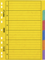 Brunnen 10-66585 Ringbuchregister A4 FACT!plus 6teilig...