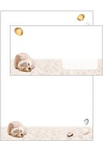 Hartung 56739 Briefpapier A4 Robbe...