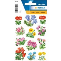 Herma 3582 Schmucketiketten...
