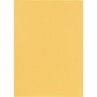 Falken 80001233 Aktendeckel A4 Manilakarton 250g chamois...