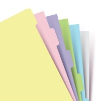 Filofax 132674 Personal Trennblatt f&uuml;r Organiser...
