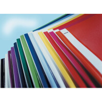 Leitz 4191 Schnellhefter PVC/Folie A4...