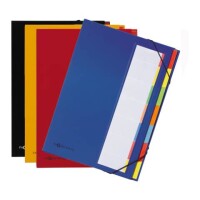 Pagna 44171 Ordnungsmappe Deskorganizer A4 Premium 7teilig 2