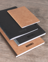 Brunnen 104357270 Notizbuch A5 kariert Premium FACT!plus...