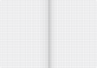Brunnen 104356290 Notizbuch A5 kariert Premium FACT!plus sch