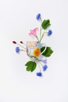 Pip Studio 51.002.073 Becher Flowers 325ml 4