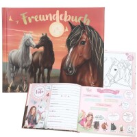 Depesche 13939_A Miss Melody Freundebuch / 108Seiten