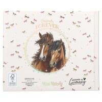 Depesche 13939_A Miss Melody Freundebuch / 108Seiten 3